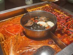 -蜀江龙火锅(339店)