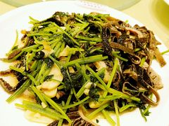 -南来顺饭庄·清真(南菜园店)