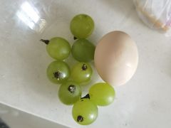 -马陆小张葡萄园农家乐