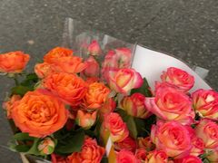 -三圣花乡旅游区