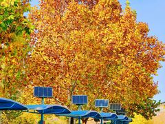 -廊坊文化艺术中心