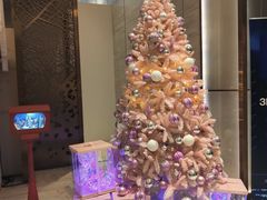 -深圳国际会展中心希尔顿酒店(前海华发冰雪世界店)