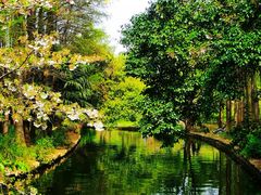 -上海共青森林公园