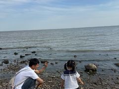 -巢湖姥山岛