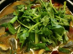 -宁邦·家宴·南京菜(红山动物园店)