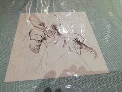 -洪齐林老镇
