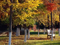 -长春世界雕塑园冰雪艺术天地
