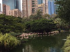 -九龙公园