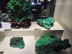 -河南自然博物馆
