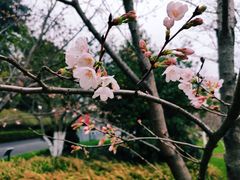 -南京城墙景区