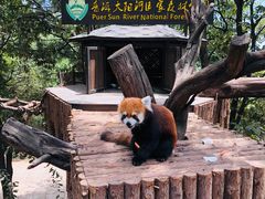 -云南野生动物园