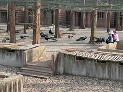 -南京金牛湖风景区