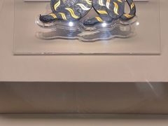 -南越王博物院(王宫展区)
