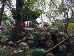 景点-秋霞圃