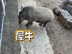 -无锡动物园·太湖欢乐园