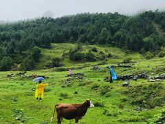 -硗碛藏寨·神木垒景区