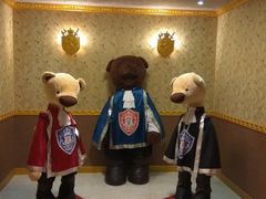 -济州岛泰迪熊博物馆