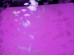 -沈阳海洋探索中心