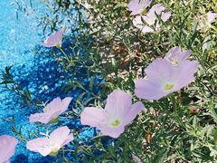 -蜀冈西峰生态公园