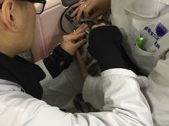 -中农大我爱我爱24h动物医院·中医针灸·猫专科·骨科医疗中心(双井店)