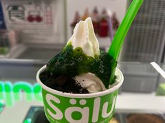 -Salud撒露欧洲冻酸奶(五道口购物中心店)