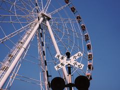 -顾村公园