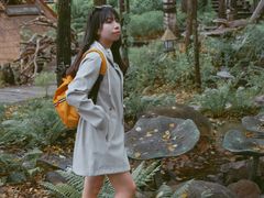 -峡谷浮石林景区