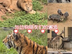 -昆明动物园