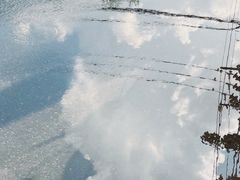 -无声臭豆腐(大井1号店)