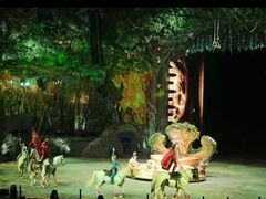 -广州长隆国际大马戏
