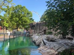 -上海野生动物园
