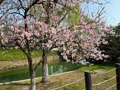 -石湖景区