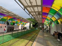 -珠江夜游广州塔·中大码头