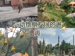 -上海野生动物园