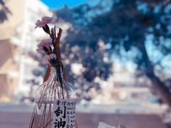 -椿风·养身茶饮(吉大店)