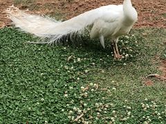 -昆明动物园