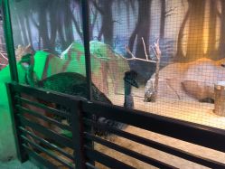 -酷嗒动物文化乐园(cutezoo西溪乐天城店)