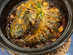 -金龙寨(龙城路店)