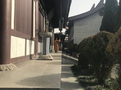 -法门文化景区