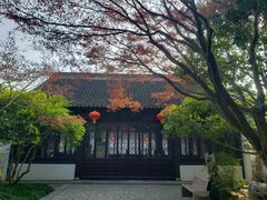 -上海醉白池公园