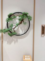 -HQ半永久纹绣纹眉