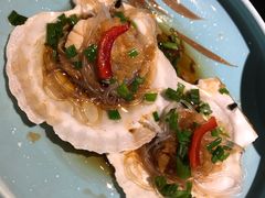 蒜蓉粉丝蒸扇贝-新白鹿餐厅(悠迈生活广场店)