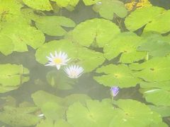 -重元寺香积厨素斋馆