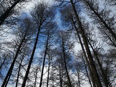 -硗碛藏寨·神木垒景区