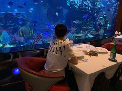 景观位-迪拜帆船酒店海底餐厅