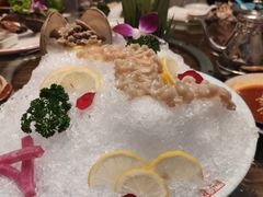 象拔蚌-金龙·打边炉(武进路店)