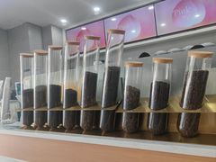 -雾与山茶(大禹城店)