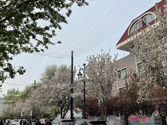 -天津五大道文化旅游区