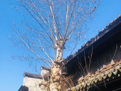 -紫阳古街