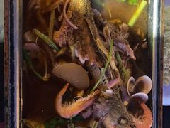 -喷泉广场餐厅·宵夜·海鲜烧烤大排档(长隆企鹅酒店)